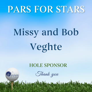 PARS sponsor - Veghte.png